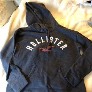 Hollister Hoodie - Women’s Large (NWT)